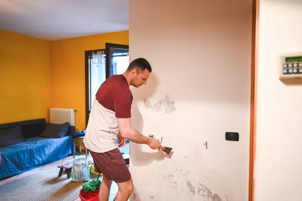 Mold Removal Process in Shiloh, IL
